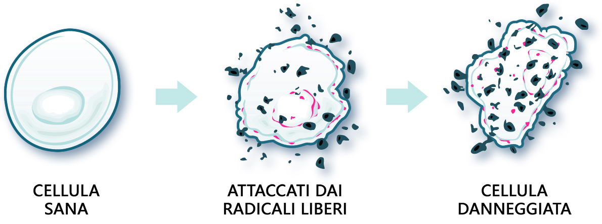 Distruzione e mutazione cellulare