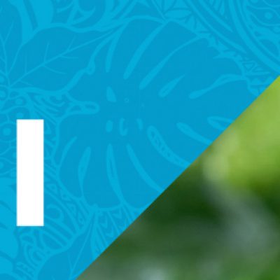 ферментованний сік ноні